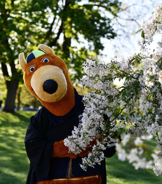 Zippy with flowers